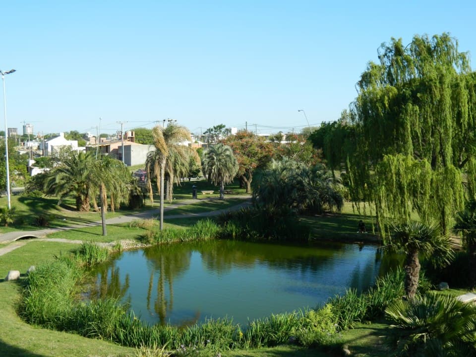 Passeig de les Palmeres de Tarragona – paseo de palmeras sobre el mar entre el Anfiteatro y el Serrallo