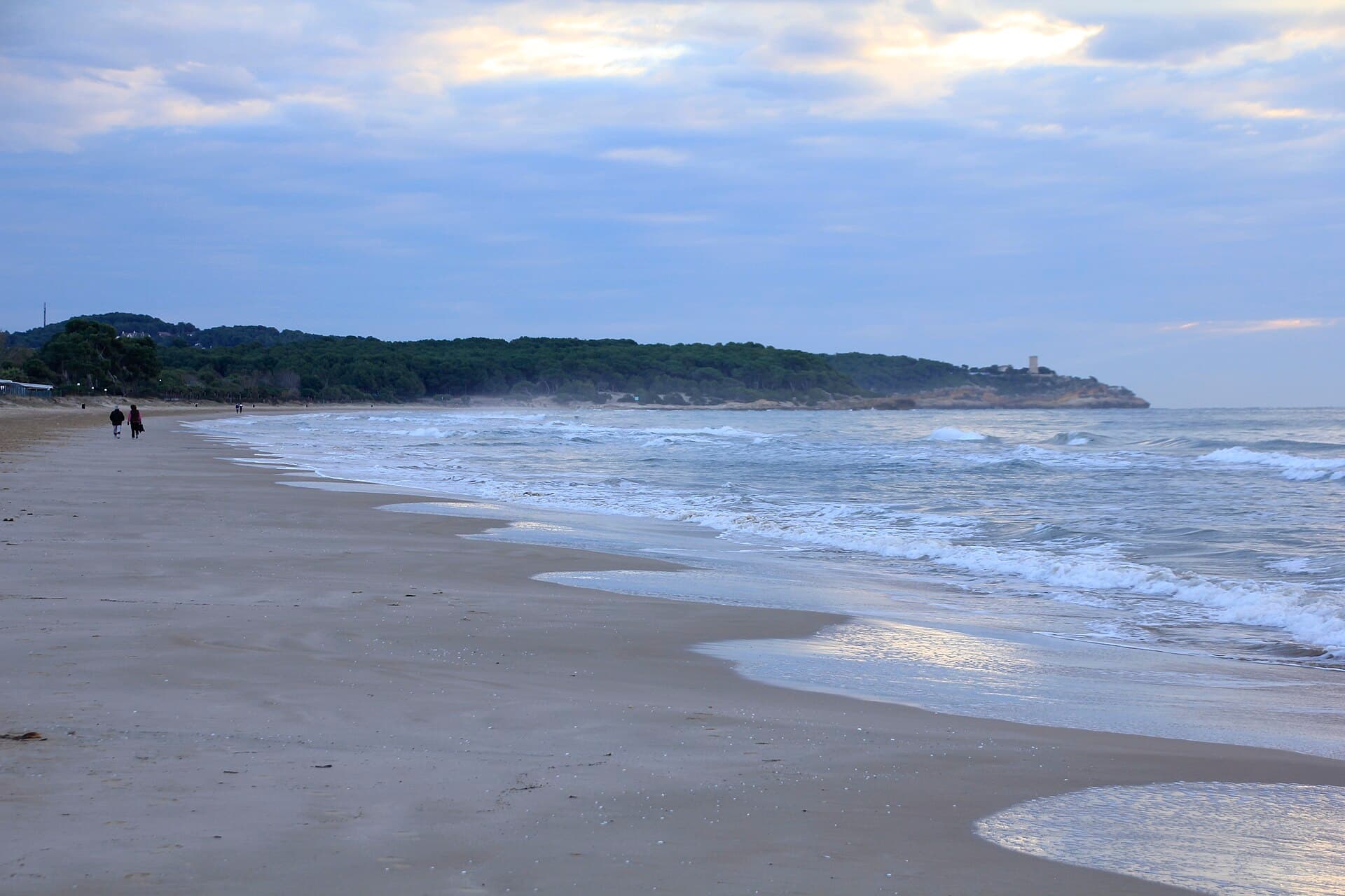 Playa de la Mora à Tarragone – pins atteignant presque le bord de l'eau