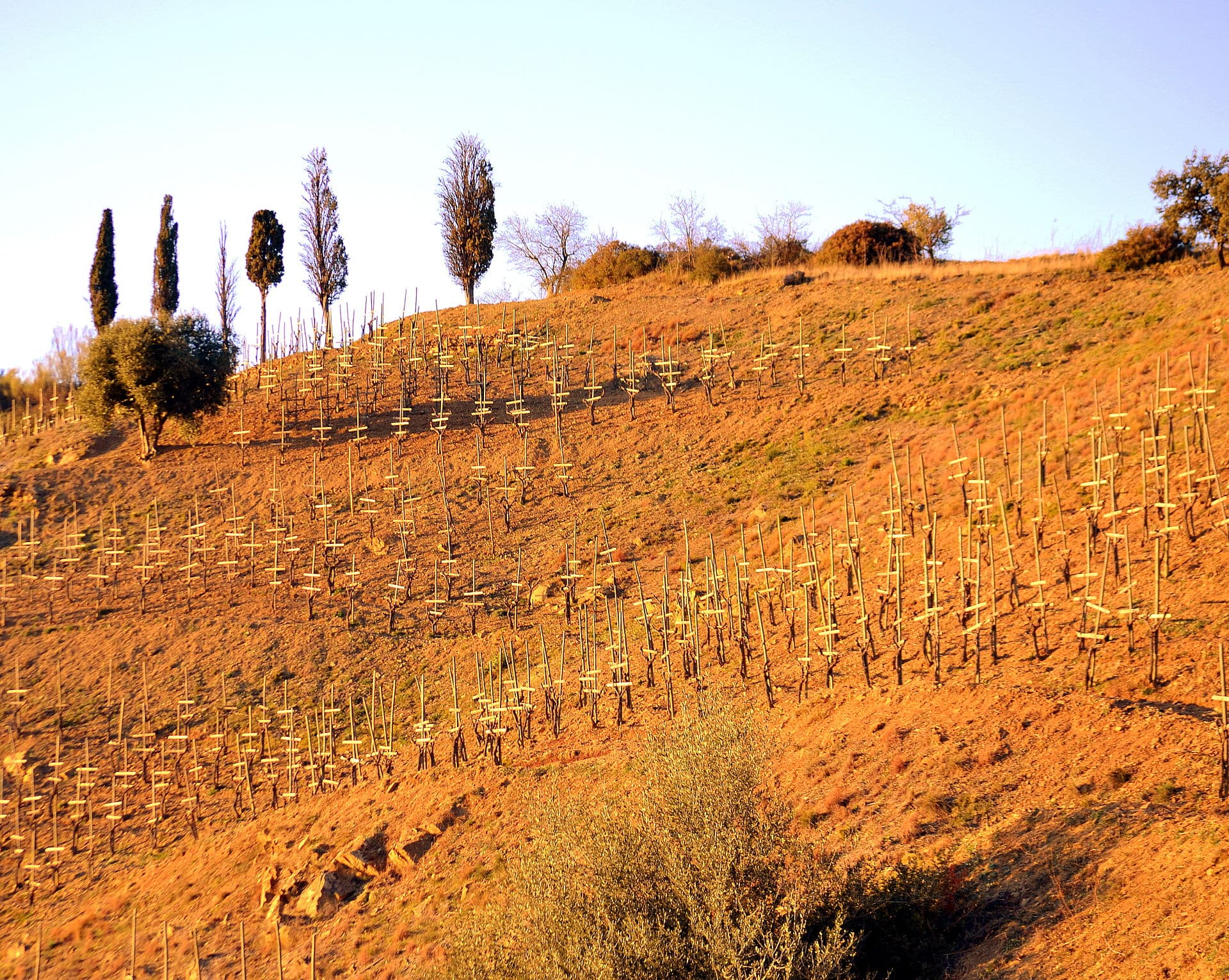 Cuisine créative avec vins du Priorat dans un cadre médiéval – Arcs Restaurant Tarragone