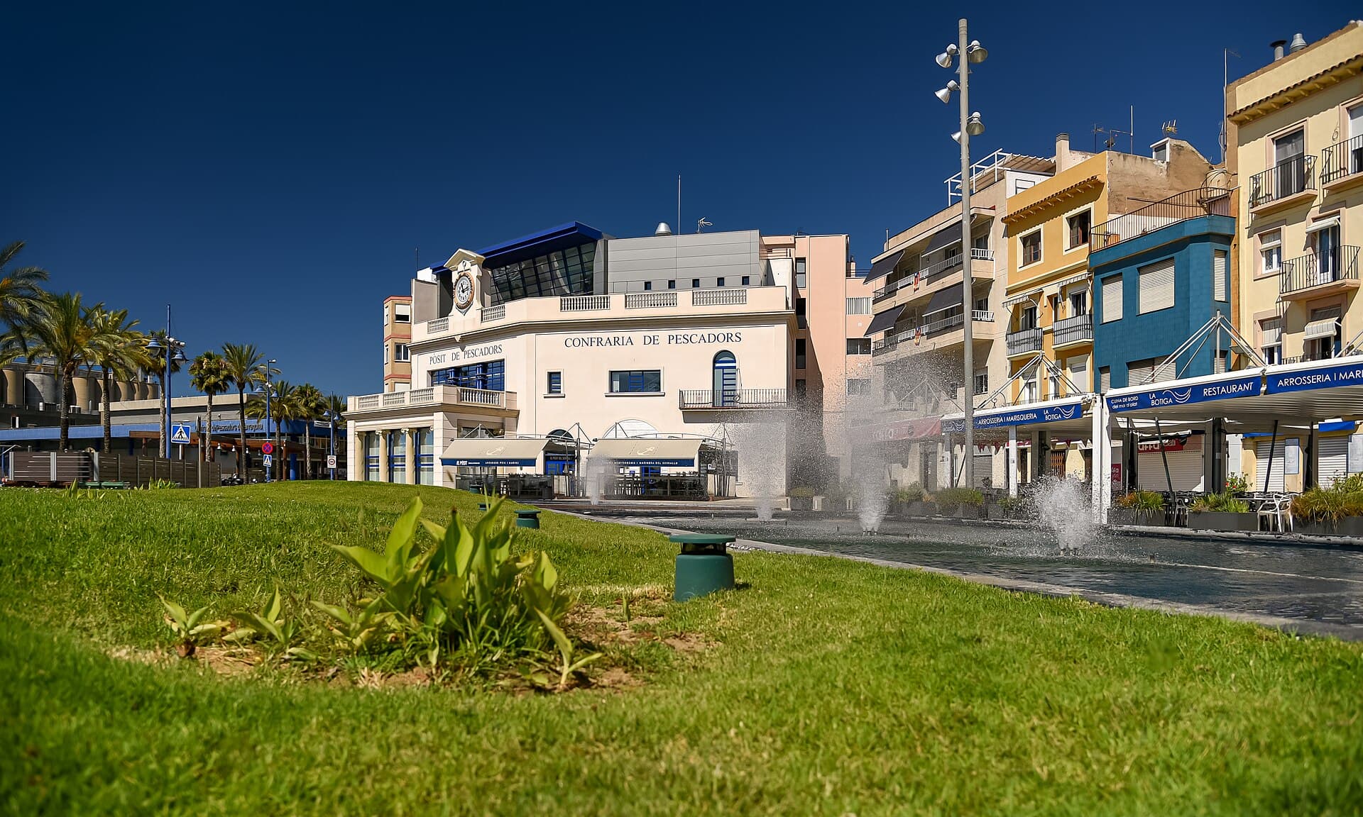 Crevettes rouges et fruits de mer frais de la criée – Barquet Tarragona Serrallo
